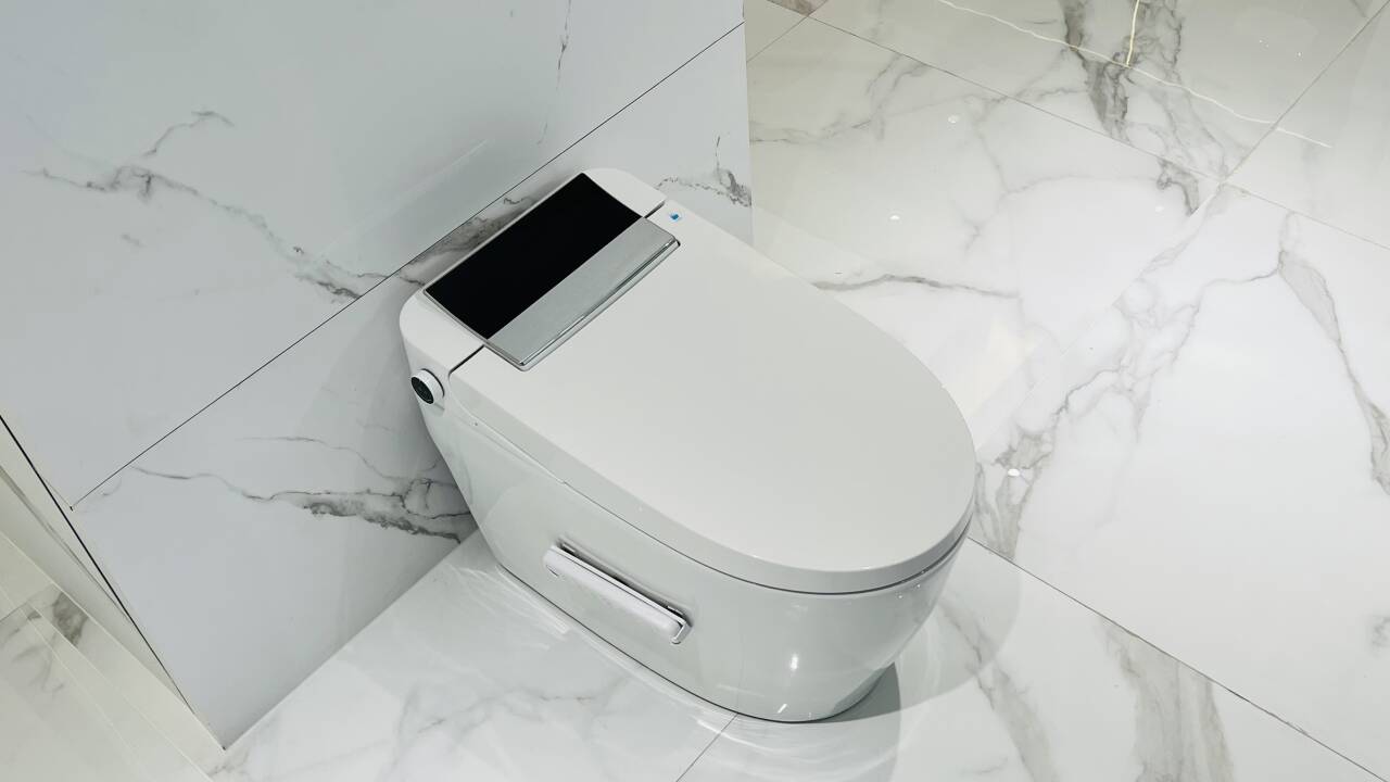 Longevity &amp; Hygiene: Maintaining Your Rear-Discharge Smart Toilet