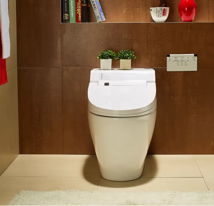 the hk75 enema bidet toilet showcases a sleek, minimalist exterior with a smooth unibody design that elevates the aesthetic of any modern luxury bathroom